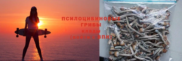 мет Новодвинск