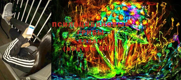 мет Новодвинск