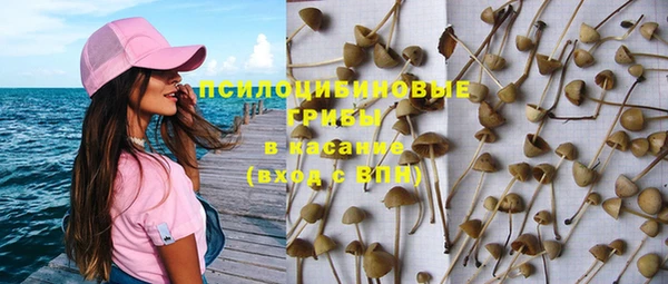 мдпв Новокубанск